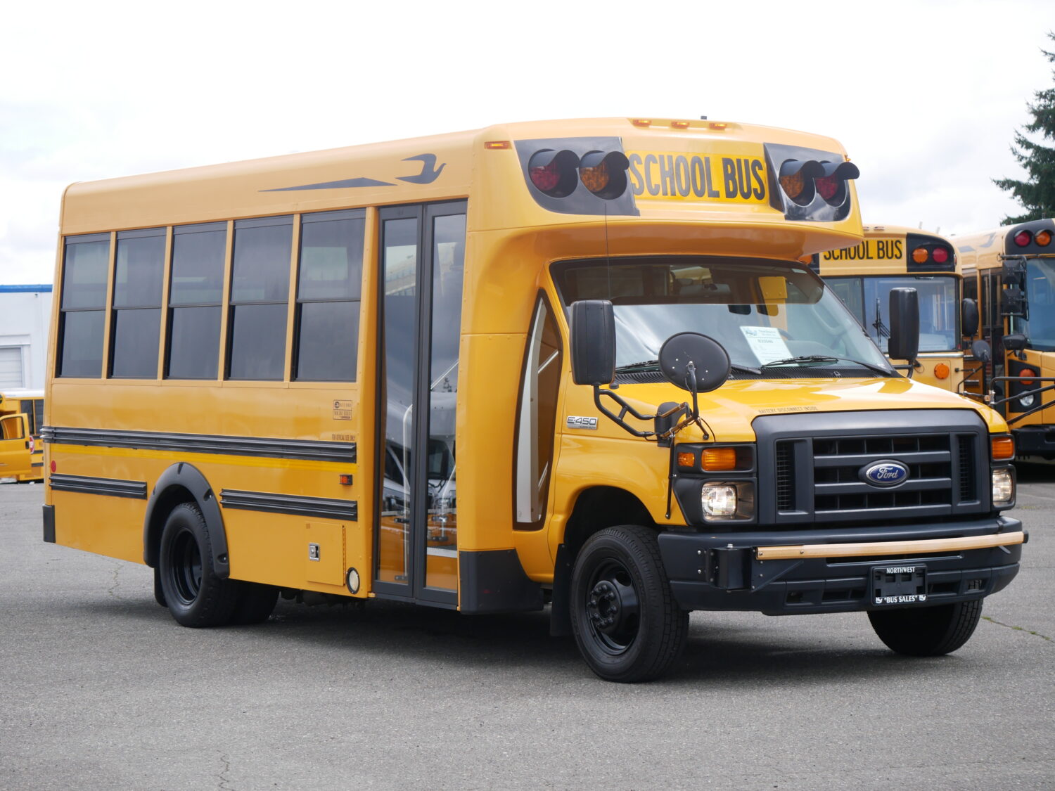2015 Ford Blue Bird Girardin 18 Passenger School Bus - B25540