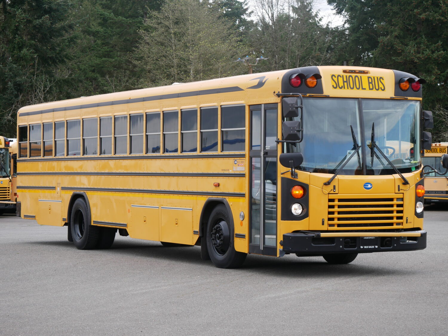 2010 Blue Bird All American 81 Passenger School Bus - B74855