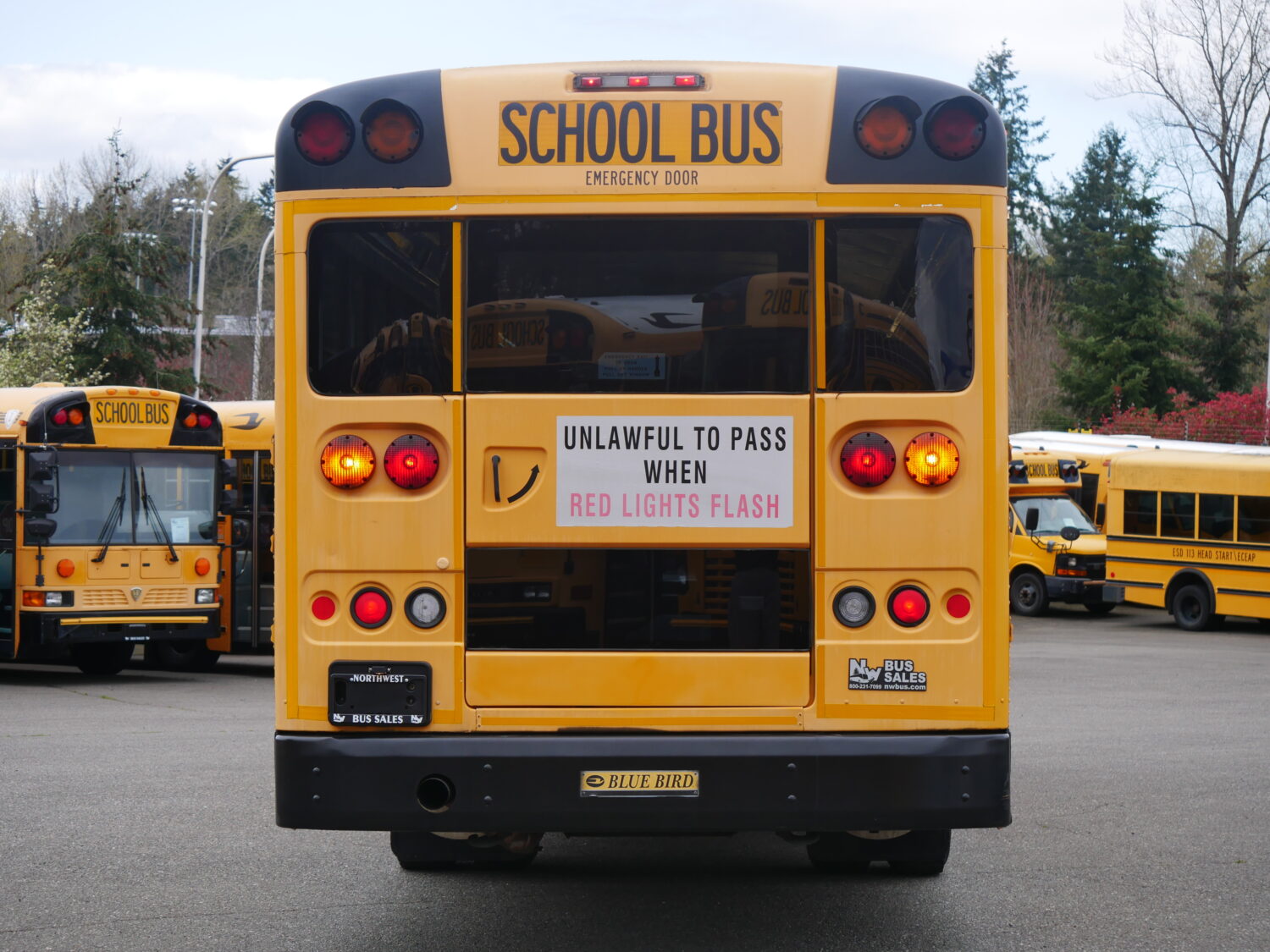 2010 Blue Bird All American 81 Passenger School Bus - B74855 - Image 11