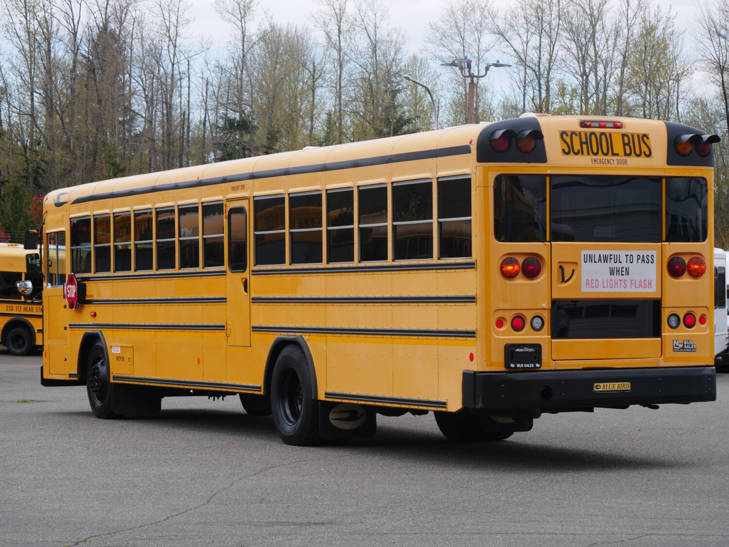 2010 Blue Bird All American 81 Passenger School Bus - B74855 - Image 4