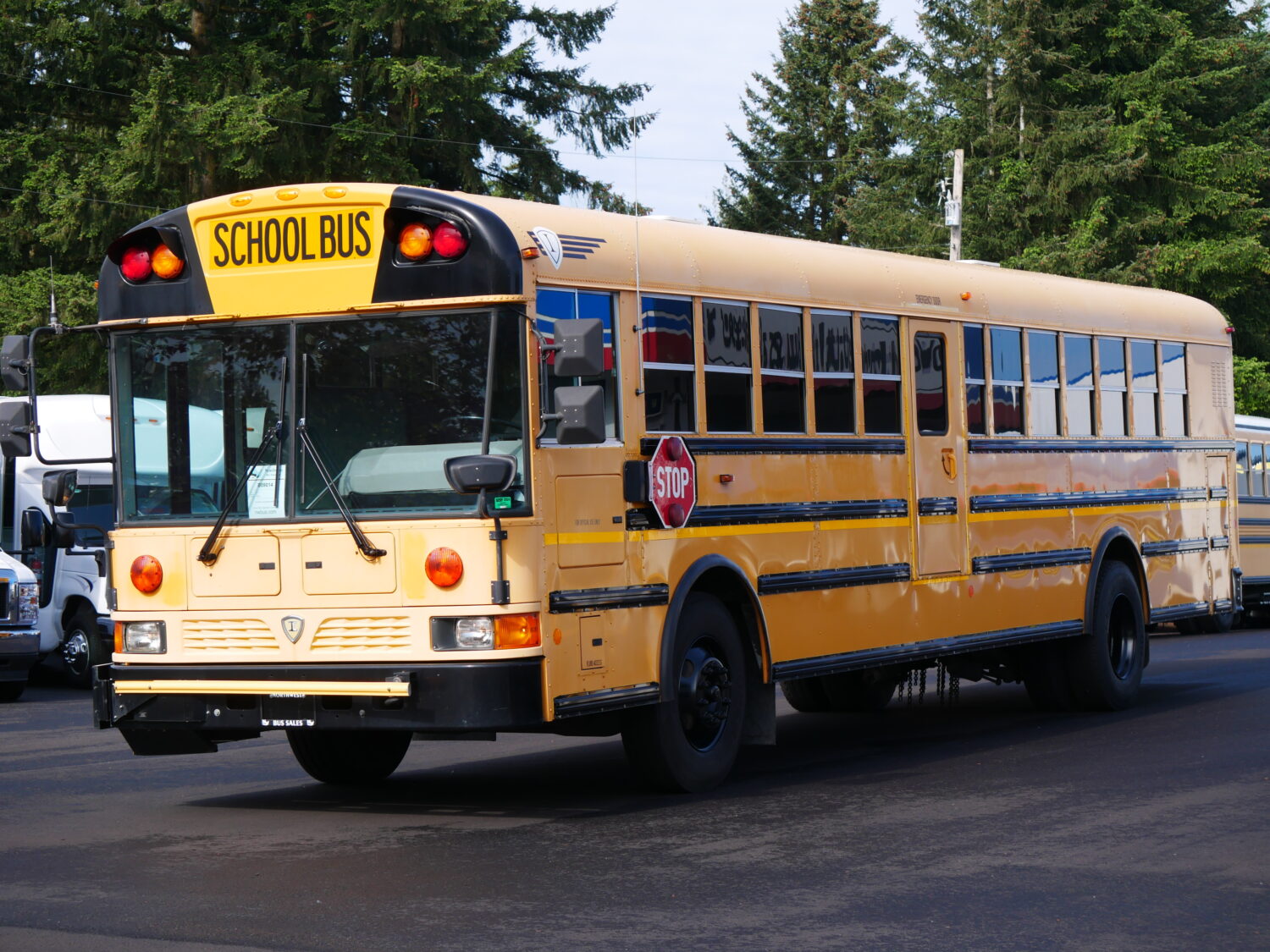 2011 IC RE300 13 Row School Bus - B09014 - Image 2