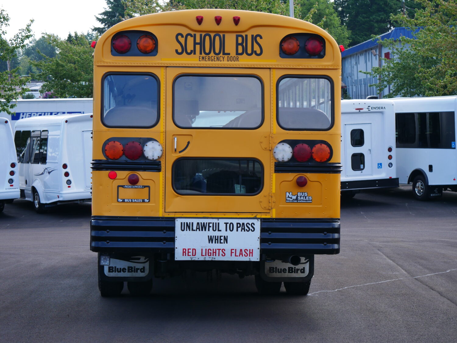 2001 International Blue Bird 53 Passenger School Bus - B68099 - Image 11