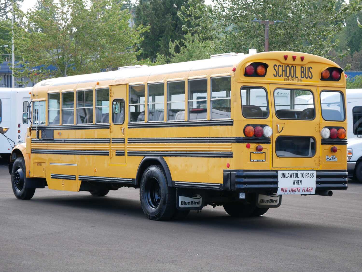 2001 International Blue Bird 53 Passenger School Bus - B68099 - Image 4