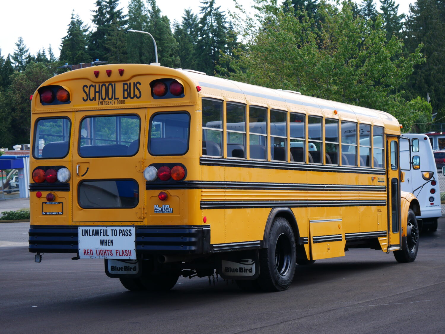 2001 International Blue Bird 53 Passenger School Bus - B68099 - Image 3