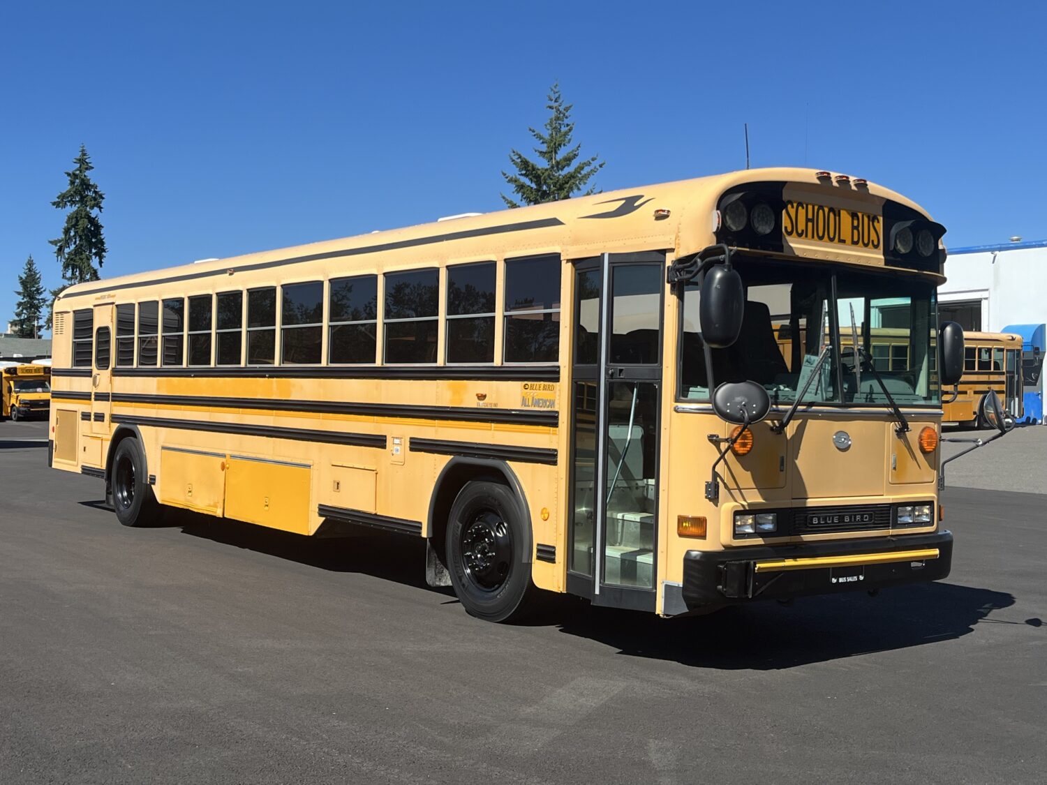 2006 Blue Bird All American 78 Passenger School Bus - B32220