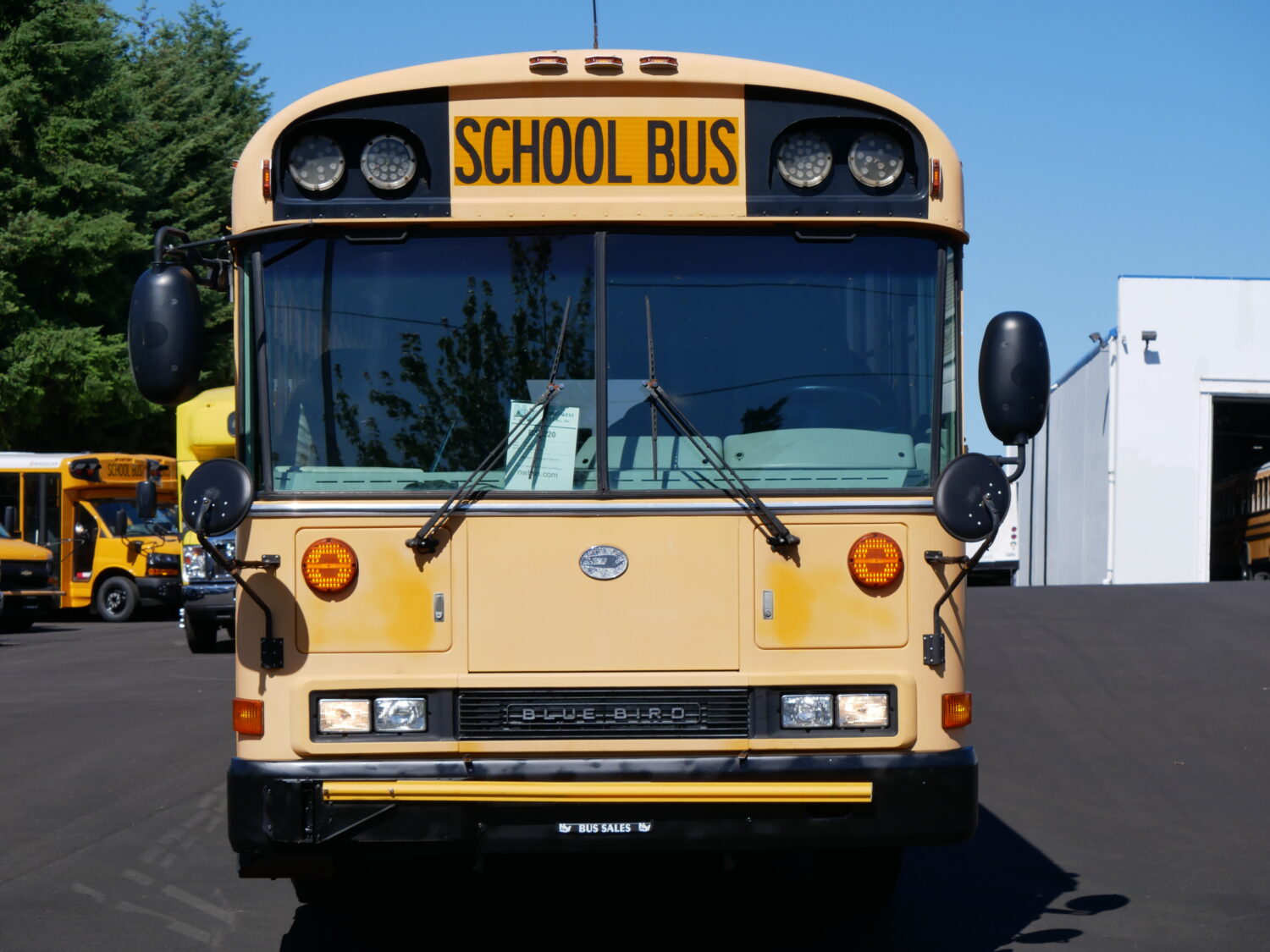 2006 Blue Bird All American 78 Passenger School Bus - B32220 - Image 11